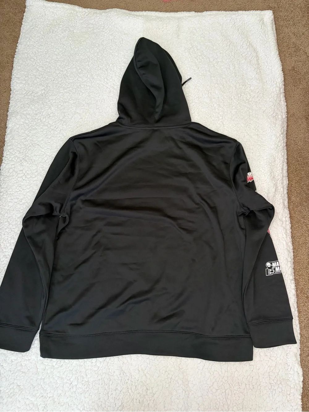 CHAMPION SPACE JAM HOODIE SWEATSHIRT BLACK LARGE